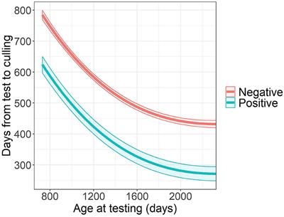 The Impact of Paratuberculosis on Milk Production, Fertility, and Culling in Large Commercial Hungarian Dairy Herds